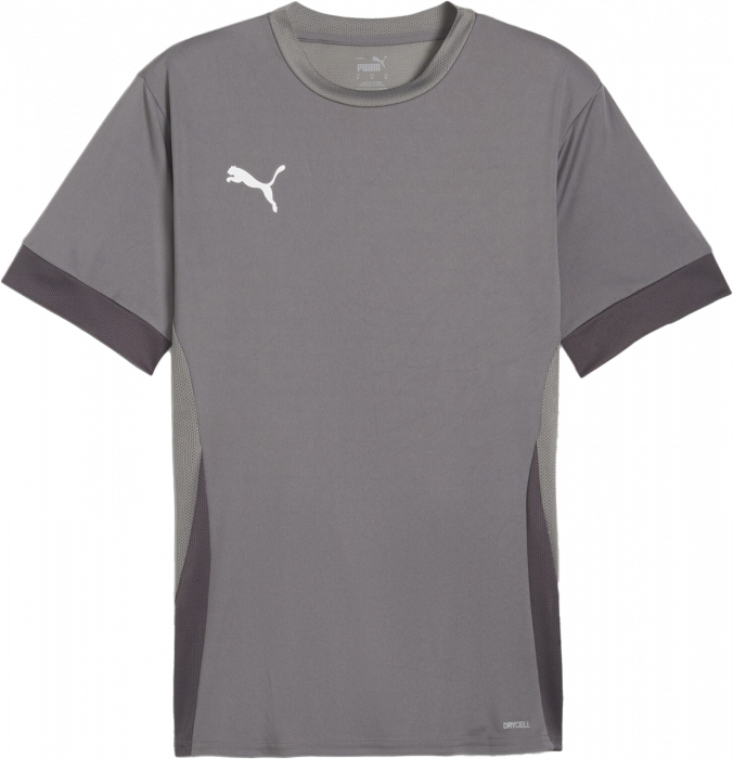 Puma - Teamgoal Matchday T-Shirt - Cast Iron & shadow gray